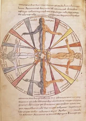 Wheel of the Seasons and Months, from De Natura Rerum by St. Isidore of Seville