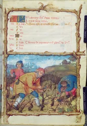 The Month of March: Pruning the Vines, from a Book of Hours