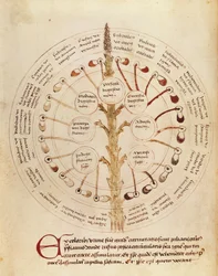 Table for urine analysis, from Petit Traite d