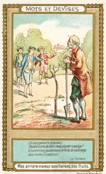 My Great-Nephews Will Harvest These Fruits