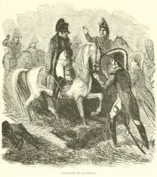 Napoleon at Waterloo