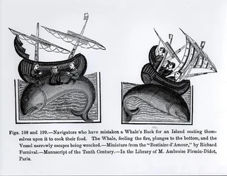 Navigators who have Mistaken a Whale