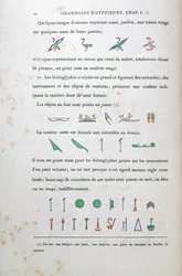 Notes on the Colouring of Certain Hieroglyphs, from Grammaire Egyptienne by Jean Francois Champollion (1790-1832) 1836