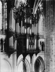 Organ