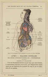 Organs of Blood Production and Circulation in a Chlorotic Woman
