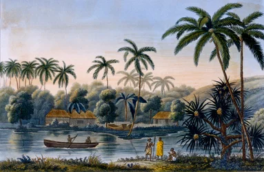 Part of the village of Matavae, coconut palms and other fruit, Tahiti, from Voyage autour du Monde sur la Corvette Coquille by Lieutenant Louis Isidore Duperrey, published 1826