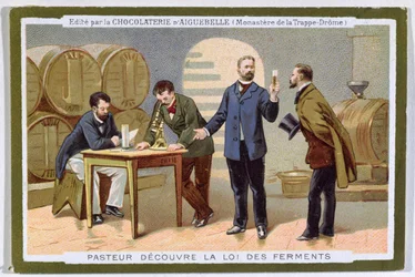 Pasteur Discovering Fermentation, Advertising Card for the Chocolaterie d