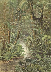 Antediluvian Landscape, a Forest of the Carboniferous Period
