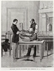 Physicists experimenting on a torpedo, 2nd half 19th century