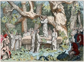 Picking mistletoe from the druids in Gaule