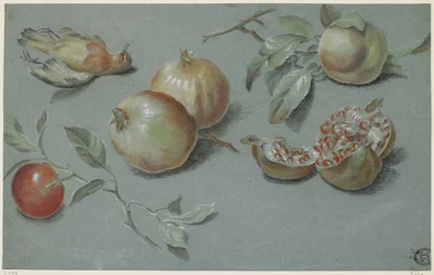 Pomegranates and Dead Bird, Early 19th Century