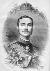 Portrait of Alfonso XII, King of Spain (1878)