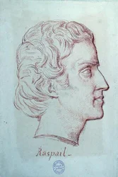 Portrait of Francois Vincent Raspail (1794-1878)