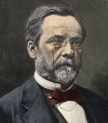 Portrait of Louis Pasteur (1822-1895), French chemist and microbiologist