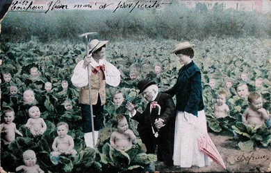 Postcard Depicting a Couple Looking for a Baby