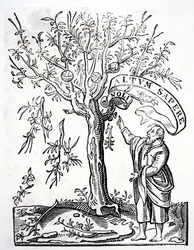 Printers Emblem of Robert Estienne, Paris, 1526