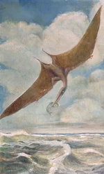 Pterodactyl fishing