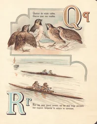 Quail, quartet, rat, race