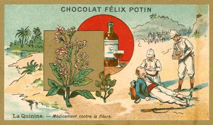 Quinine, Medicine Against Fever