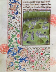 Rabbit Warren, from the Livre de la Chasse by Gaston Phebus de Foix (1331-91)