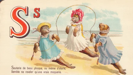 Sauté of beautiful seal, or even of seals, seems to reveal only a real mockery