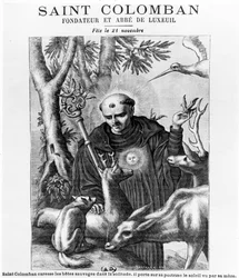 Saint Colombanus