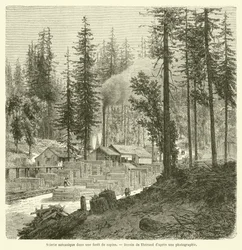 Mechanical Sawmill in a Pine Forest (engraving)