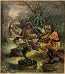 Snake charmers (cobras) in India - Engraving in 