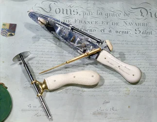 Surgical instruments used for amputation at the time of Baron Dominique Jean Larrey