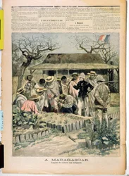 Teaching methods of cultivation to the natives of Madagascar, from Le Petit Journal, 7th November 1896