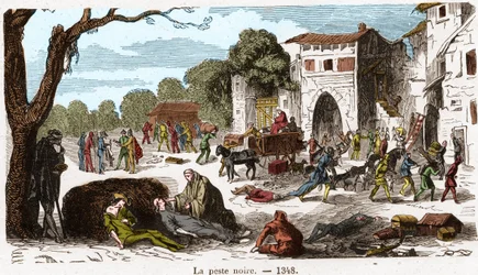 The Black Plague in 1348 - Engraving in 