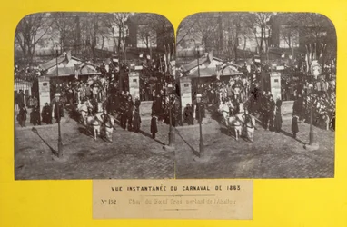 The Carnival of 1863 in Paris, the fat ox float leaving the slaughterhouse, stereoscopic view, 1863