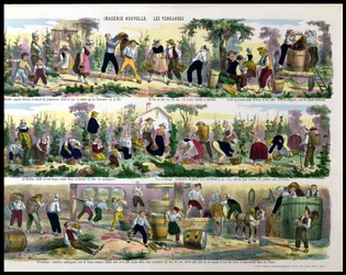 The Grape Harvest, Imagerie de Pont-a-Mousson