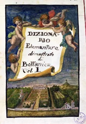 The Jardin des Plantes in Paris, frontispiece from Dizionario Elementare dimostrato di Bottanica, volume I Istitutiones Rei Herbariae, by Joseph Pitton de Tournefort, published in Paris