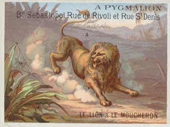The Lion and the Gnat