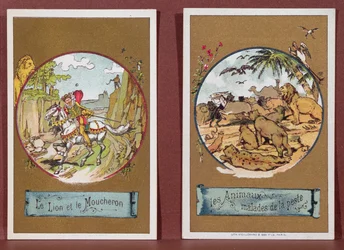 The Lion and the Midge, and the Animals Sick of the Plague (from 