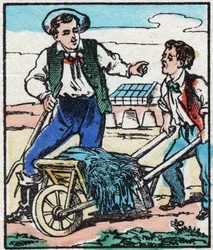 The Maraicher. Engraving in 