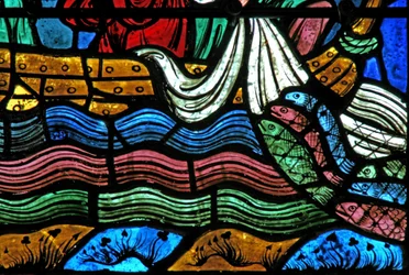 The Miraculous Draft of Fish