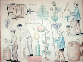 The Month of October: Wine Production