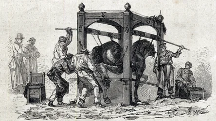 The National veterinary school of Alfort - Les grandes écoles de France - école vétérinaire de maison Alfort en 1866 - le ferrage des chevaux rétifs - Engraving in 