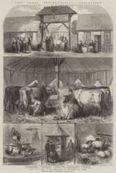 The Paris International Exhibition
