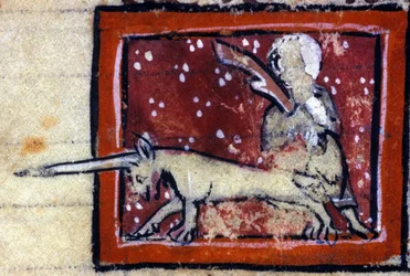 The Virgin and Unicorn