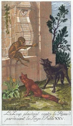The Wolf, the Fox and the Monkey, from 