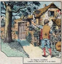 The Acorn and the Pumpkin. Fables by Jean de La Fontaine (1621-95). Imaging of Epinal from the End of the 19th Century