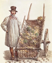 The artichokes seller, print