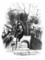 The Bear Pit of the Garden of Plants in Paris - Engraving