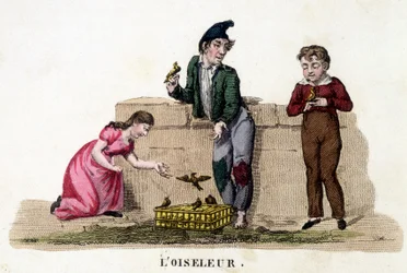 The Bird-Bird - engraving