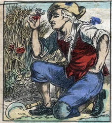 The Giant Plowler of Brobdingnag Seized Lemuel Gulliver. Illustration for 