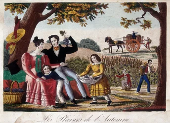 The Pleasures of Autumn: The Harvest