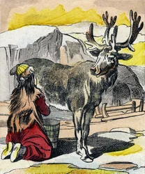 The Reindeer Being Milked (Engraving in "Buffon Alphabet des Animaux")
